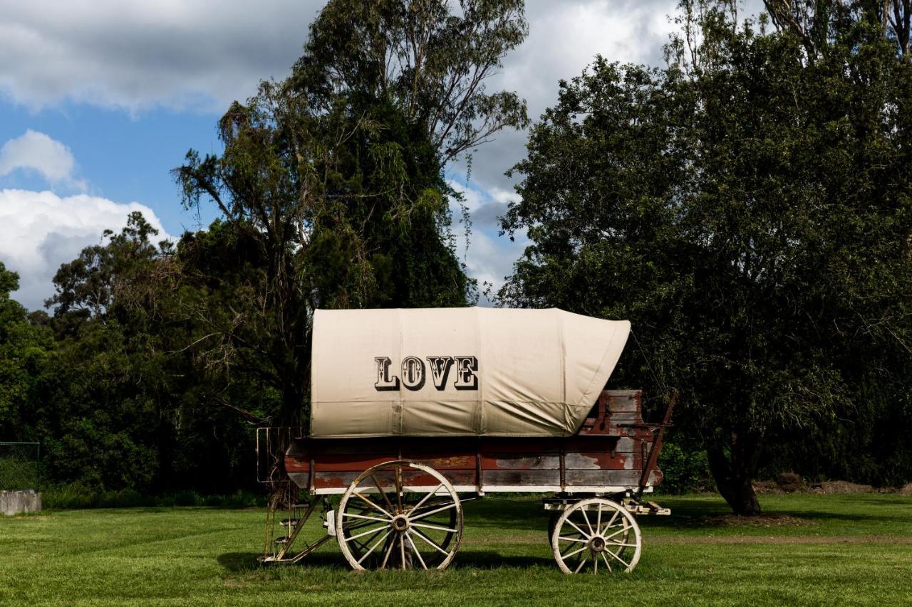 The Bearded Dragon Boutique Hotel Mount Tamborine Extérieur photo