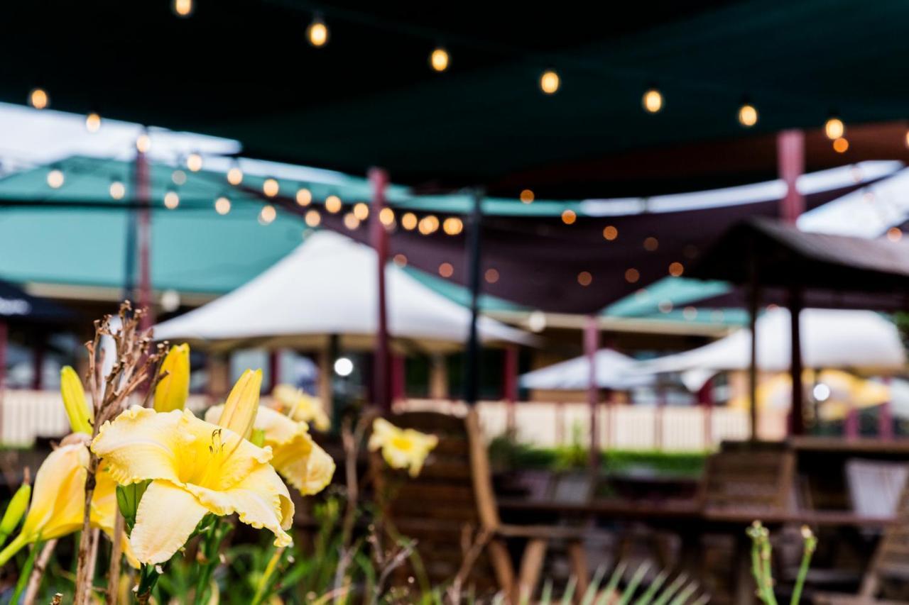 The Bearded Dragon Boutique Hotel Mount Tamborine Extérieur photo