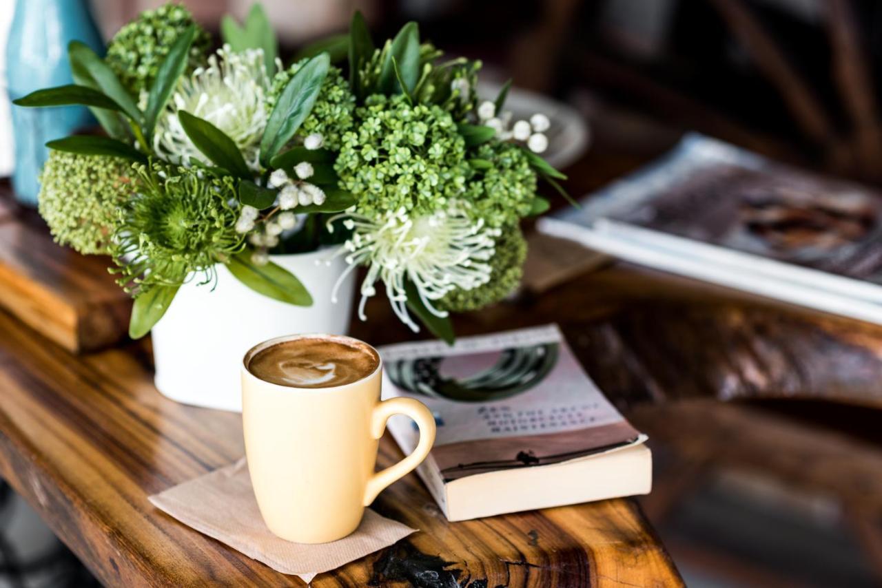 The Bearded Dragon Boutique Hotel Mount Tamborine Extérieur photo