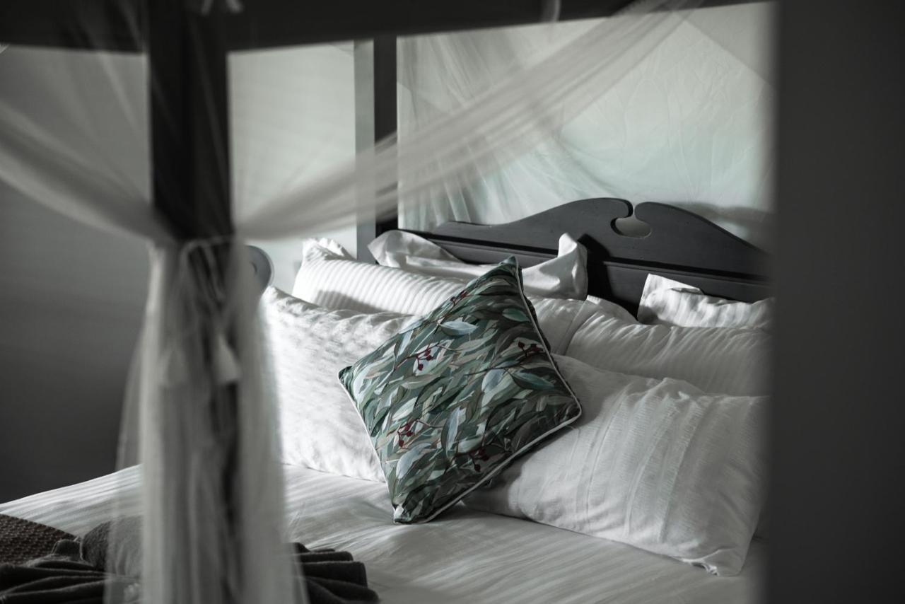 The Bearded Dragon Boutique Hotel Mount Tamborine Extérieur photo